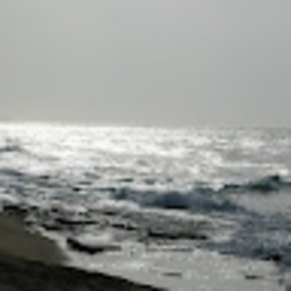 Meet your Posher, Red